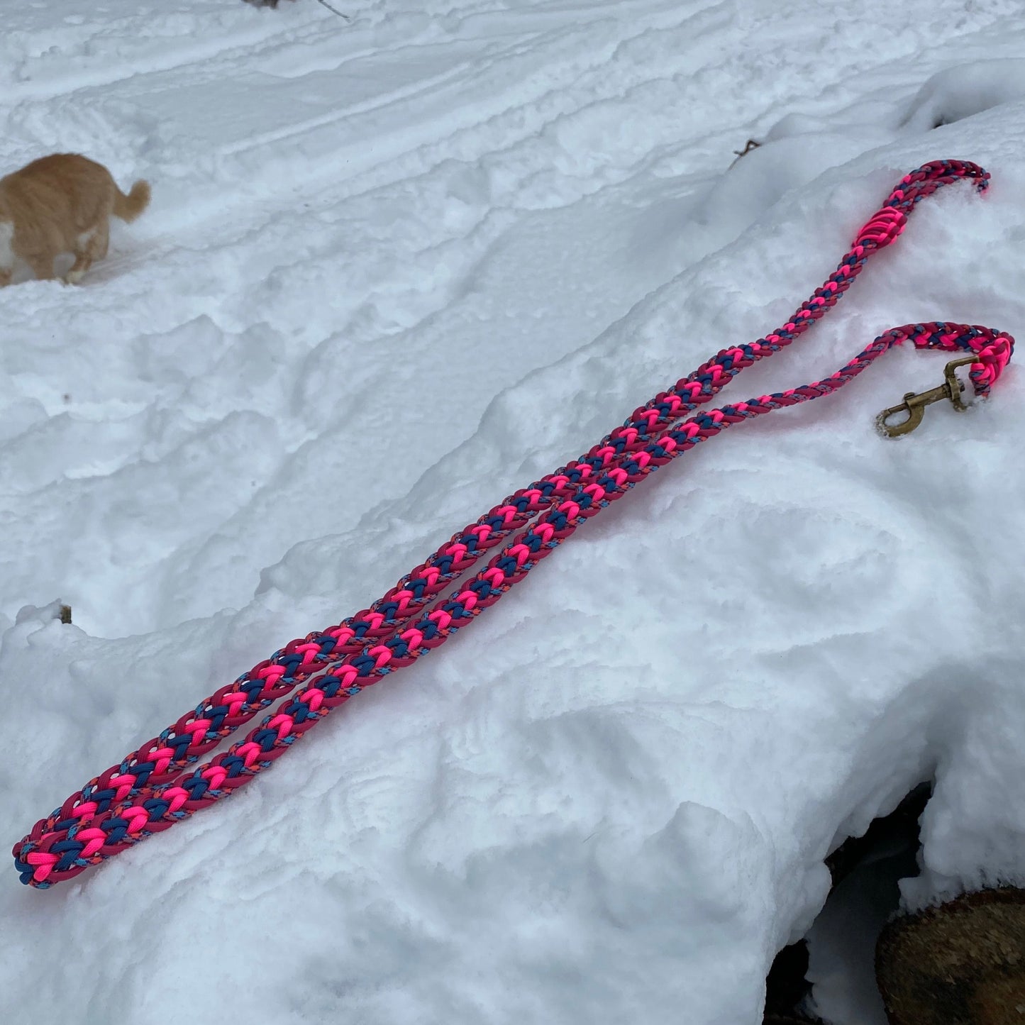 Custom Paracord Kara Yatsu Dog Leash