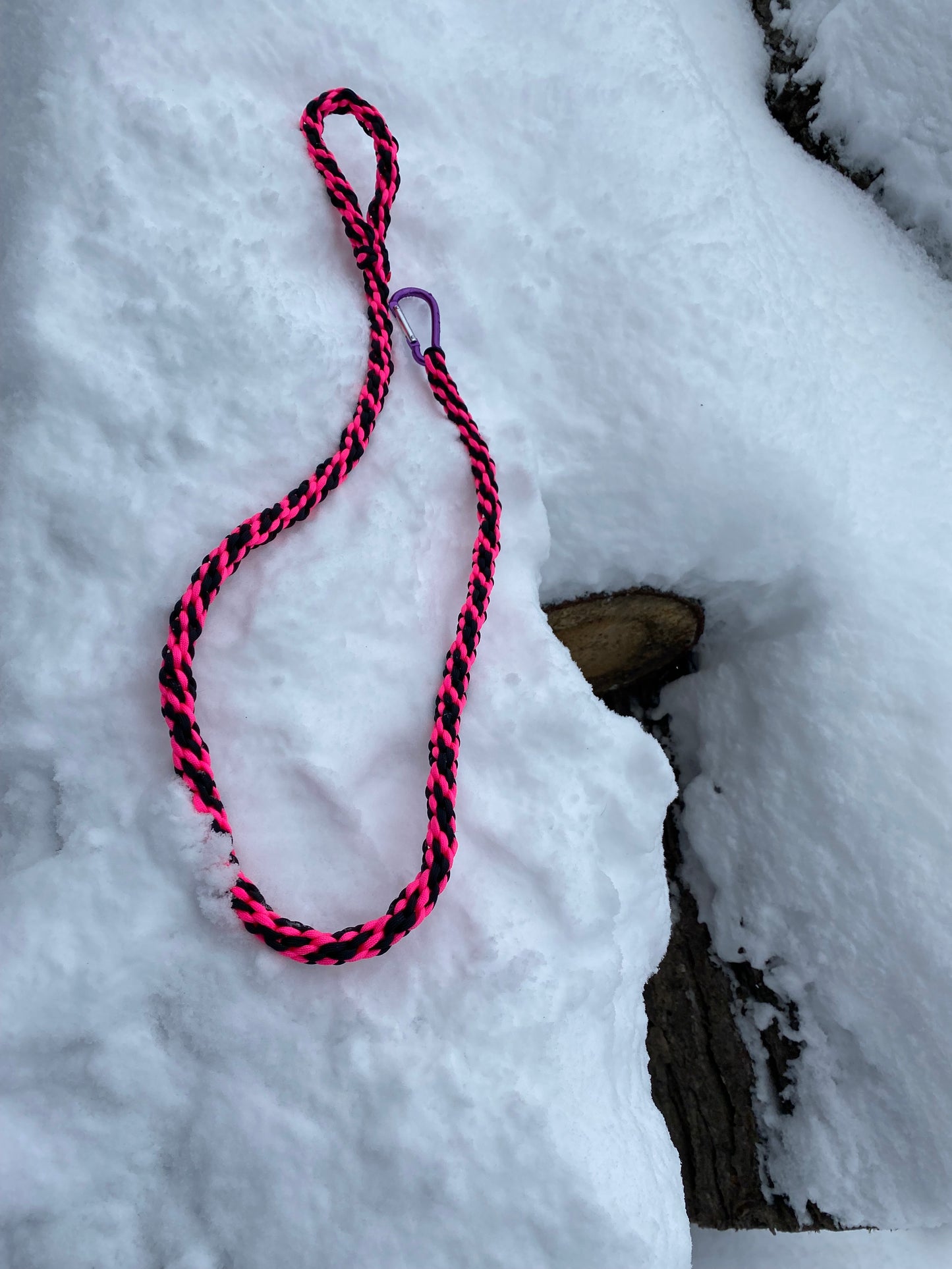 Custom Paracord Leash, Kumihimo Round Braid