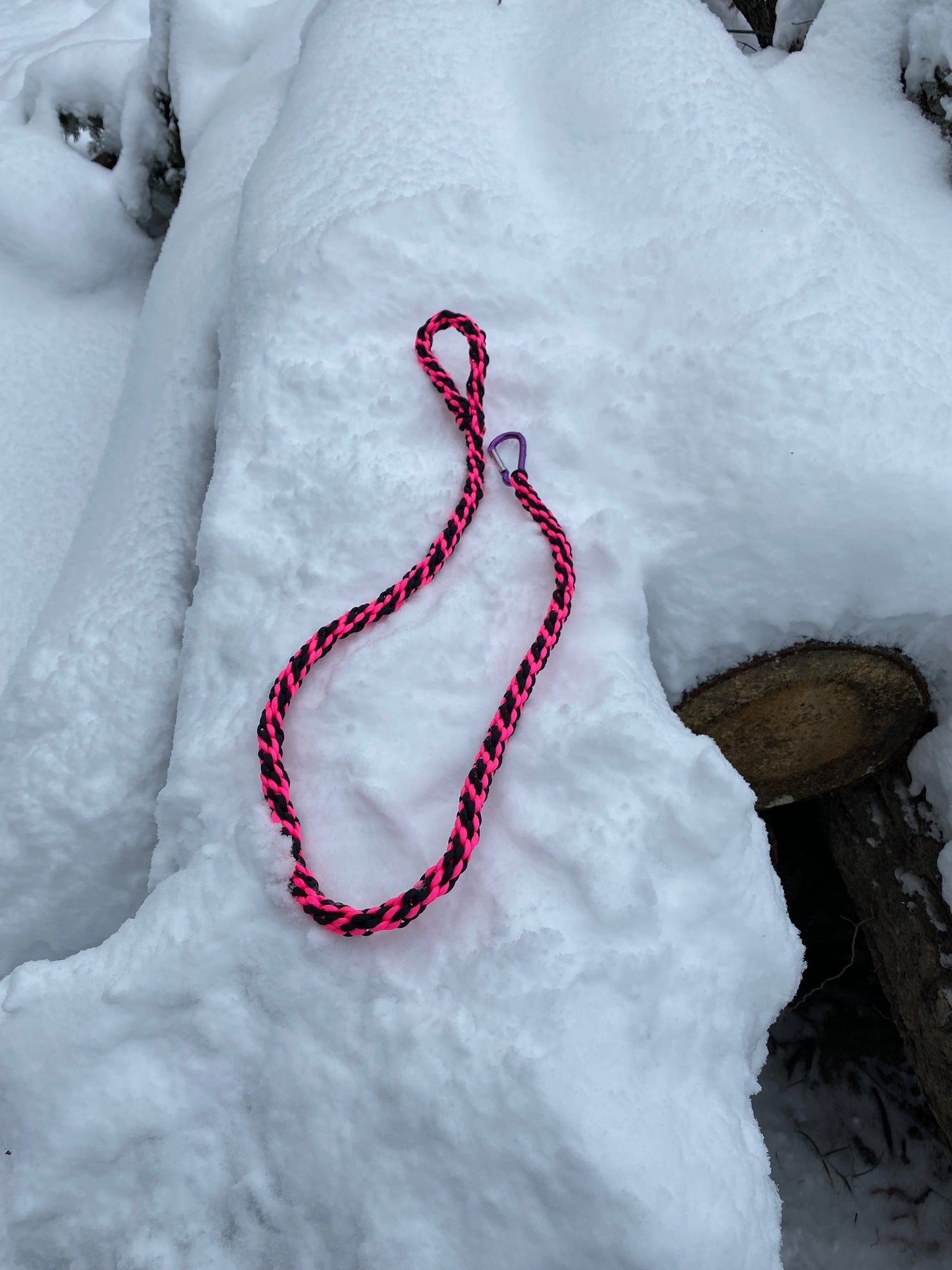 Custom Paracord Leash, Kumihimo Round Braid