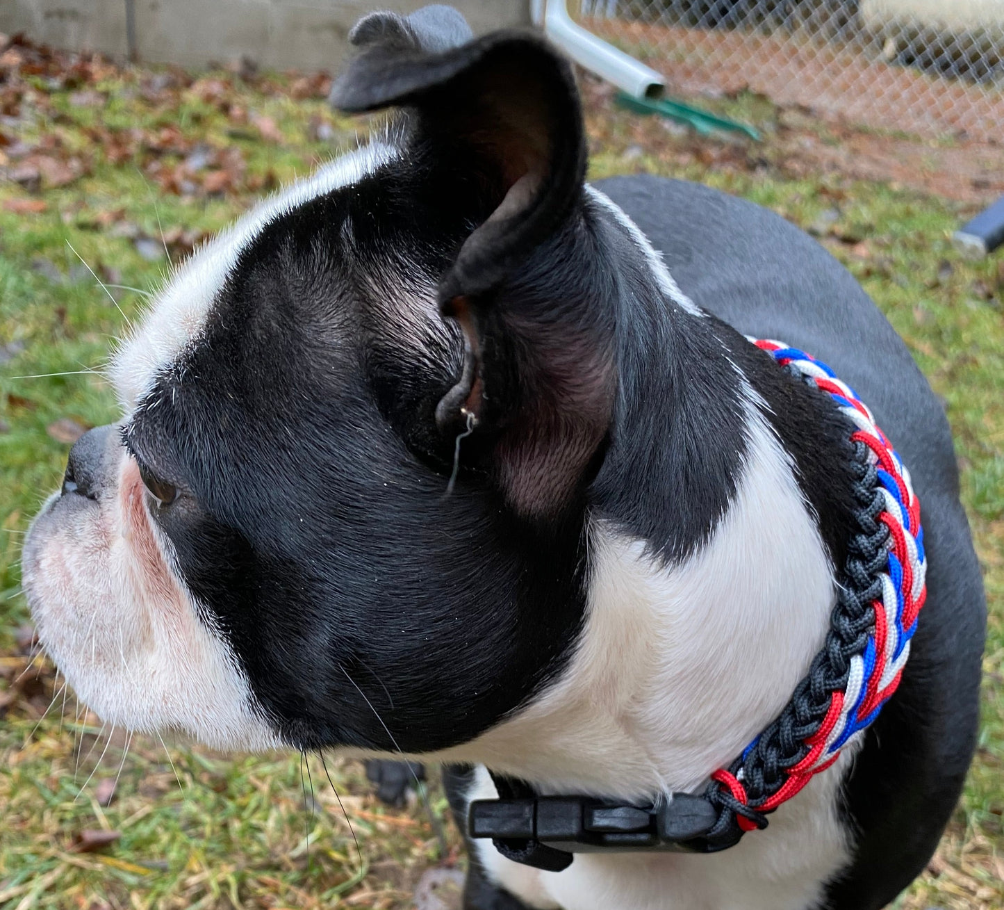 Custom Paracord Collar, Sanctified Cherokee Trail Weave, Adjustable, Side Release Buckle